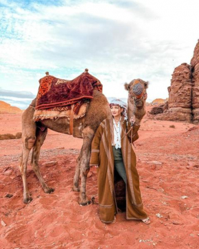 Wadi Rum camels camp